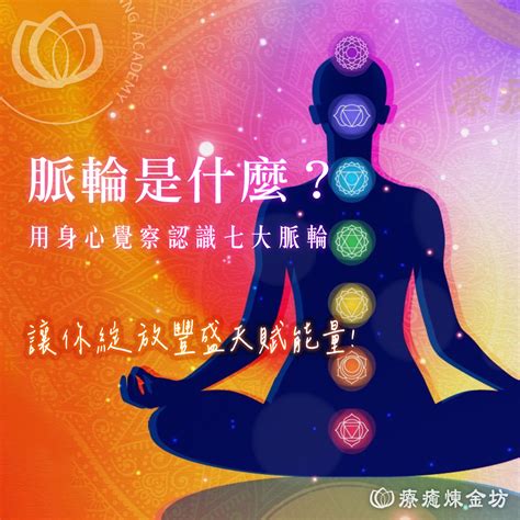 脈道三七|【脈道三七】脈道三七：心血管健康守護者，擊退膽固醇和血管垃。